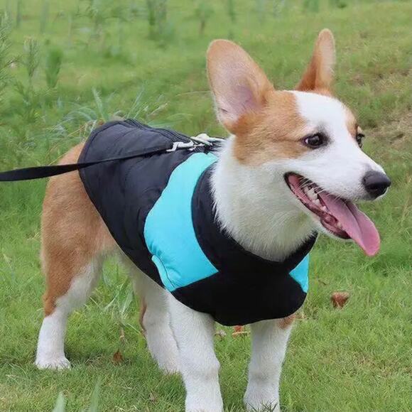 New small dog rain jacket - Picture 9 of 9